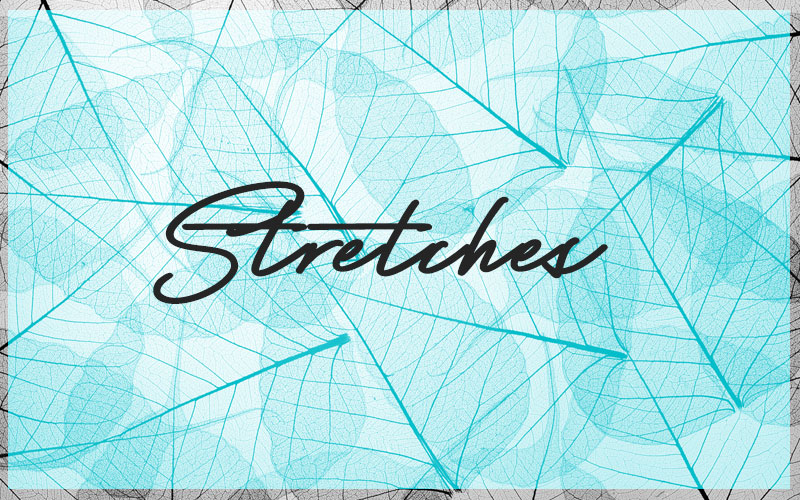 Lower Body Stretches